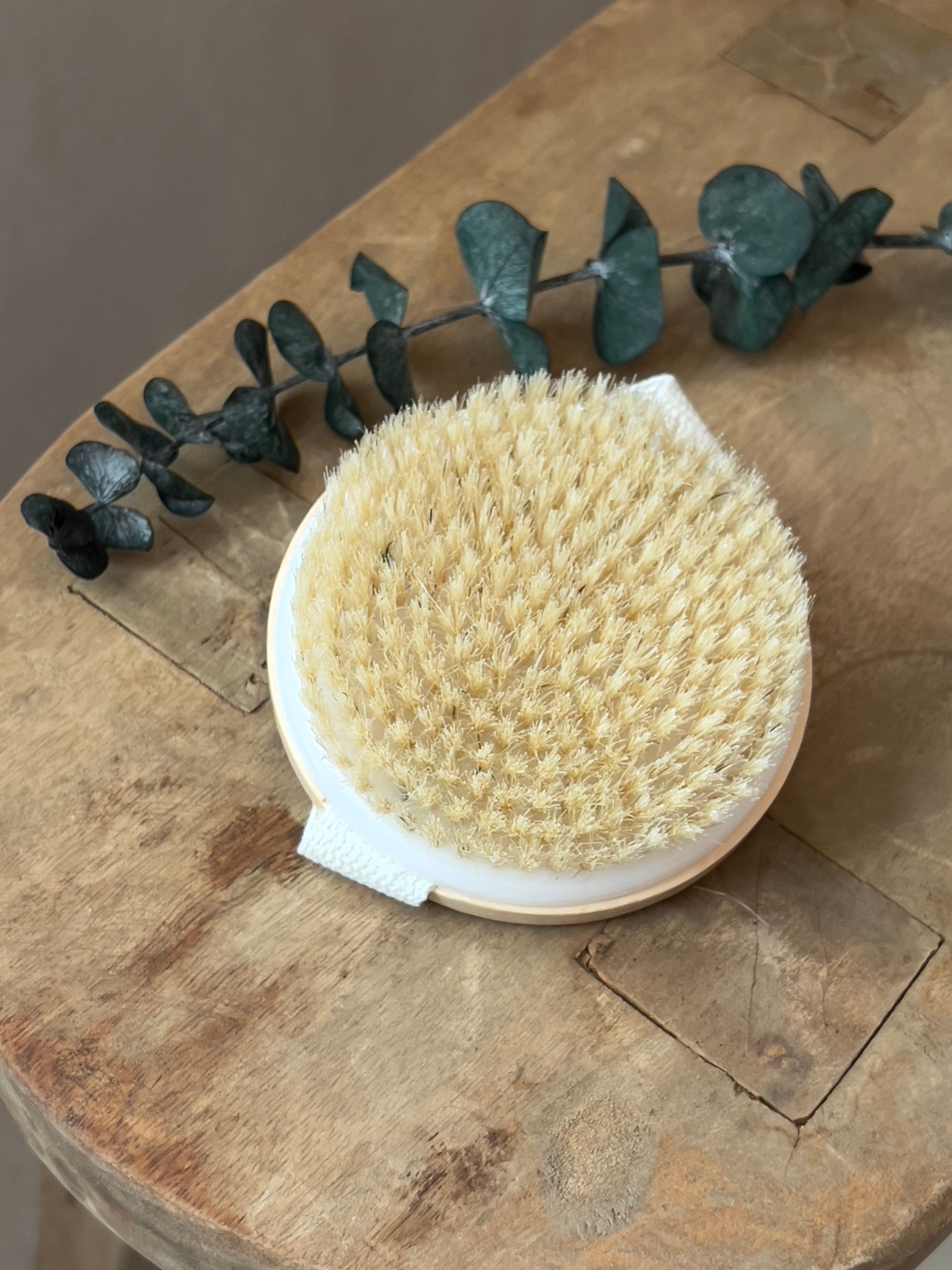 Bamboo Dry Brush